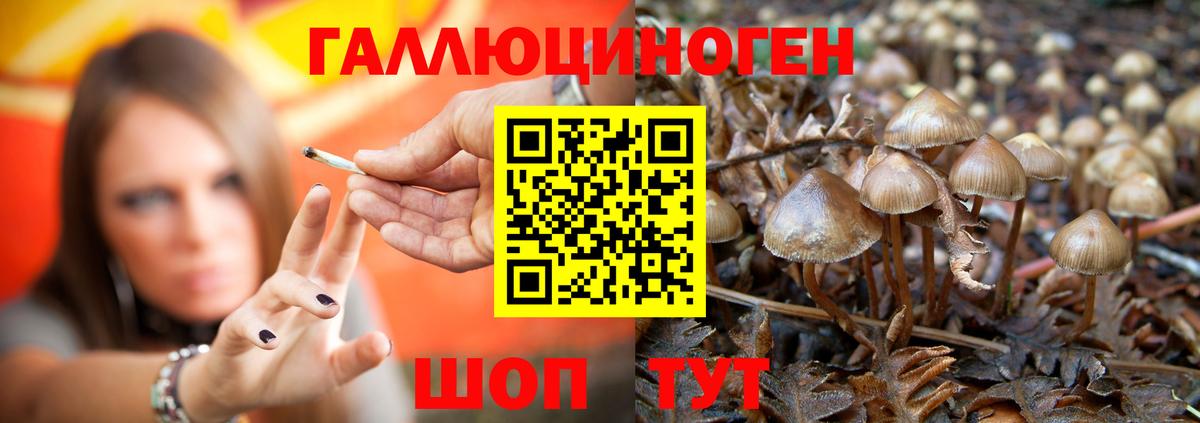 Псилоцибиновые грибы мухоморы Трёхгорный